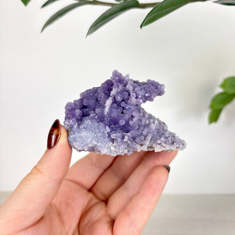 Hand holding a vibrant purple grape agate crystal cluster with small, rounded botryoidal formations.