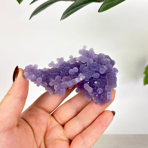 Hand holding a cluster of translucent, deep purple grape agate crystals with a unique, bubbly botryoidal texture.