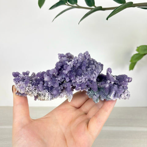Hand held cluster of deep purple grape agate featuring botryoidal crystal formations and a textured mineral base.