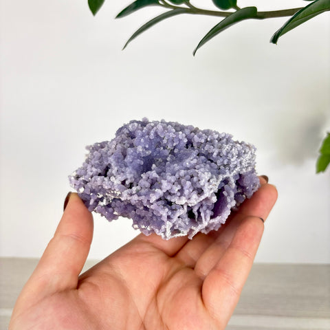 Hand holding a cluster of raw, deep purple grape agate with small, bubbly botryoidal crystal formations.