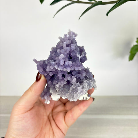 Hand holding a cluster of purple grape agate with spherical, translucent crystal formations on a white base.