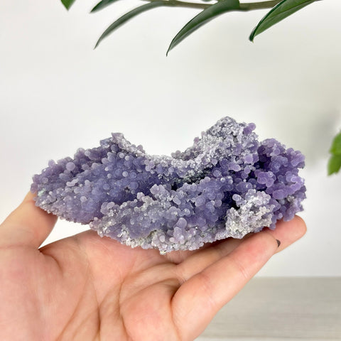 Handheld cluster of deep purple grape agate featuring small, spherical botryoidal crystal formations.