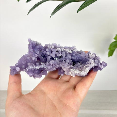 Hand holding a cluster of raw, deep purple grape agate with spherical, bubbly crystal formations.