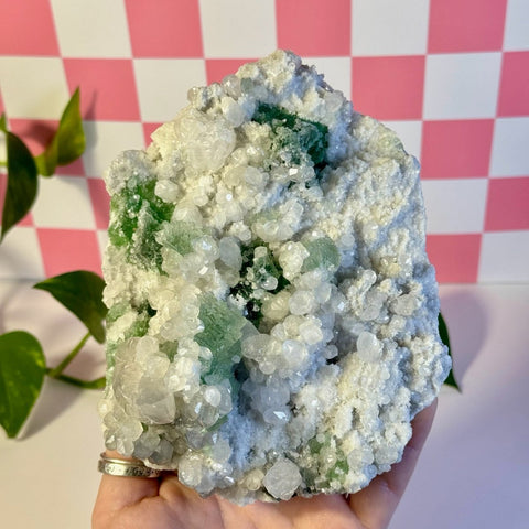 Frozen Algae (Fluorite With Calcite Specimen) A 1 - Kenna's Crystals from TikTok