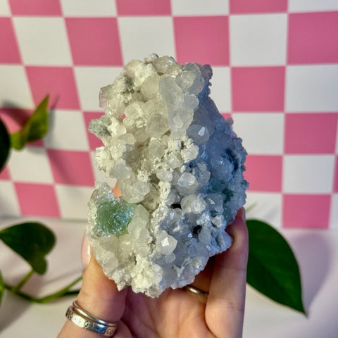 Frozen Algae (Fluorite With Calcite Specimen) E 5 - Kenna's Crystals from TikTok