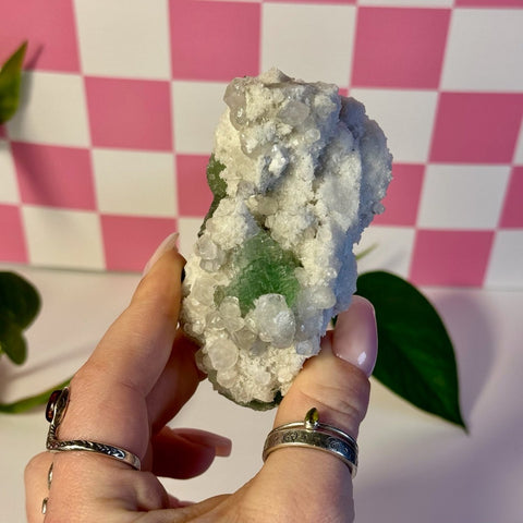 Frozen Algae (Fluorite With Calcite Specimen) G 7 - Kenna's Crystals from TikTok