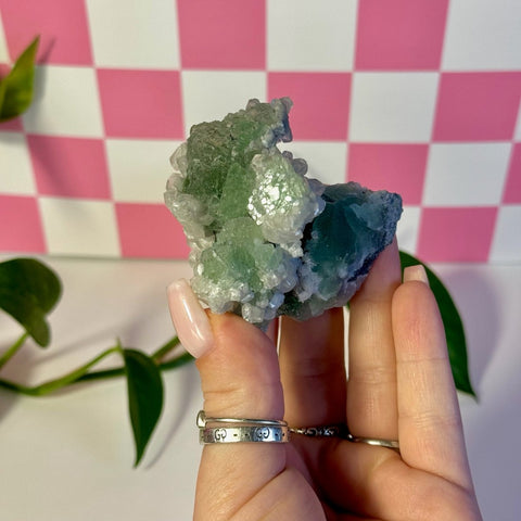 Frozen Algae (Fluorite With Calcite Specimen) H 8 - Kenna's Crystals from TikTok