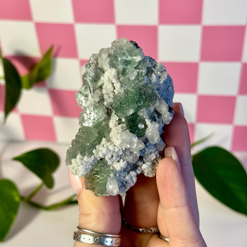 Frozen Algae (Fluorite With Calcite Specimen) I 9 - Kenna's Crystals from TikTok