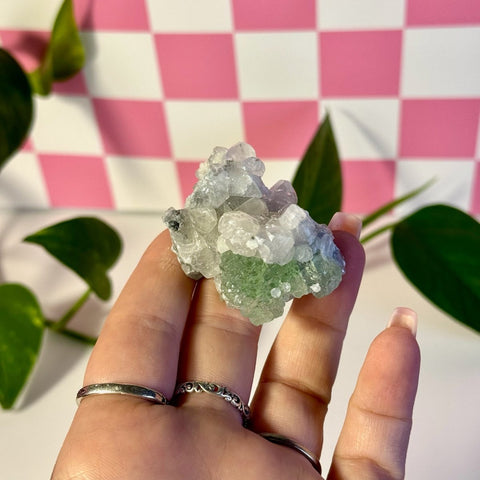 Frozen Algae (Fluorite With Calcite Specimen) L 12 - Kenna's Crystals from TikTok