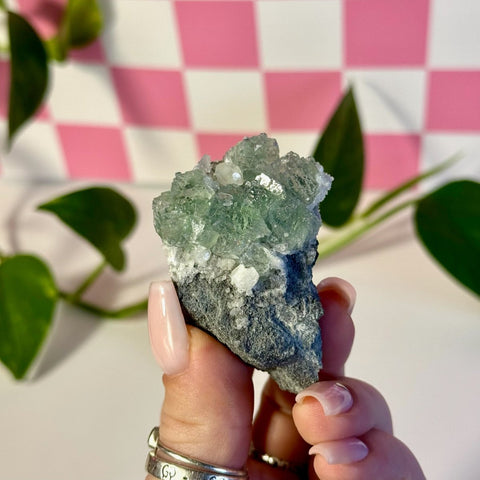 Frozen Algae (Fluorite With Calcite Specimen) M 13 - Kenna's Crystals from TikTok