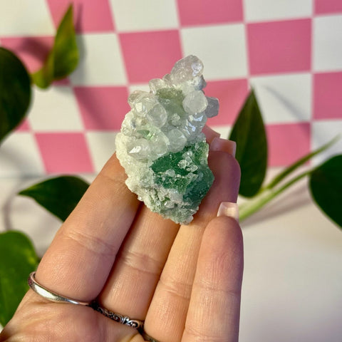 Frozen Algae (Fluorite With Calcite Specimen) O 15 - Kenna's Crystals from TikTok
