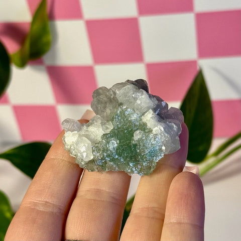 Frozen Algae (Fluorite With Calcite Specimen) Q 17 - Kenna's Crystals from TikTok