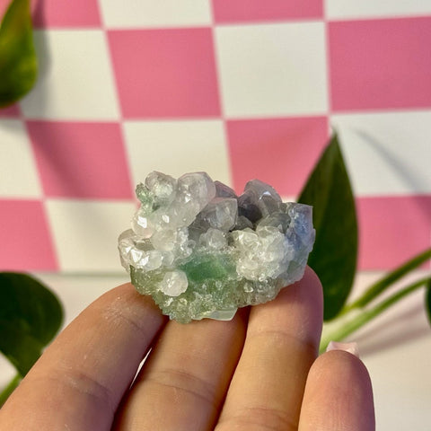 Frozen Algae (Fluorite With Calcite Specimen) R 18 - Kenna's Crystals from TikTok