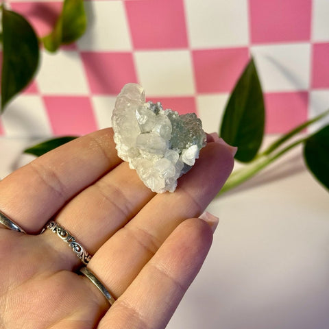 Frozen Algae (Fluorite With Calcite Specimen) T 20 - Kenna's Crystals from TikTok