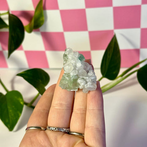 Frozen Algae (Fluorite With Calcite Specimen) U 21 - Kenna's Crystals from TikTok