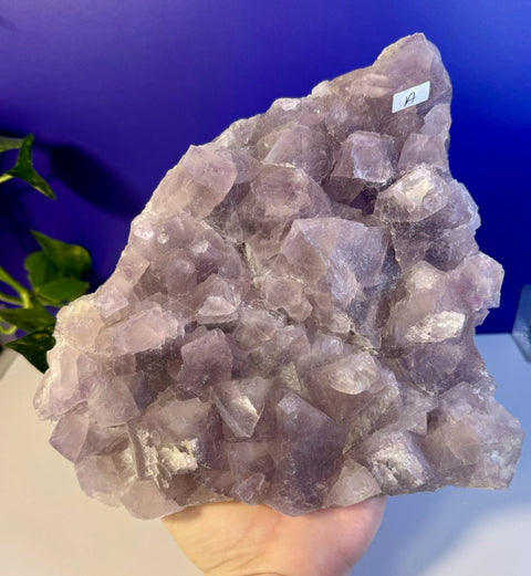 Frozen Grape Fluorite Specimen A 1 - Kenna's Crystals from TikTok