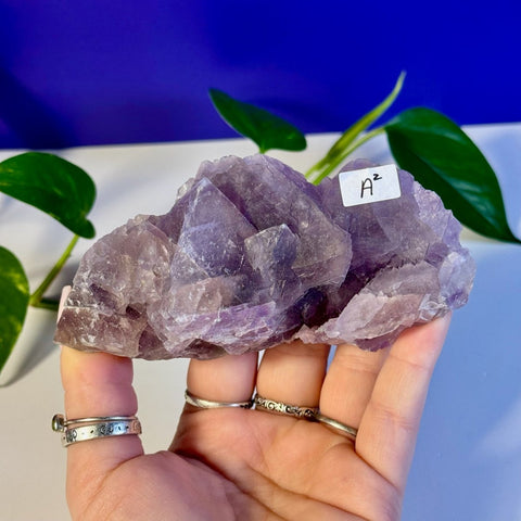 Frozen Grape Fluorite Specimen A2 27 - Kenna's Crystals from TikTok