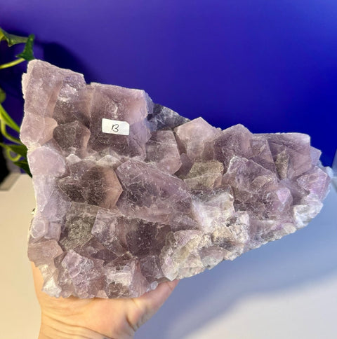 Frozen Grape Fluorite Specimen B 2 - Kenna's Crystals from TikTok