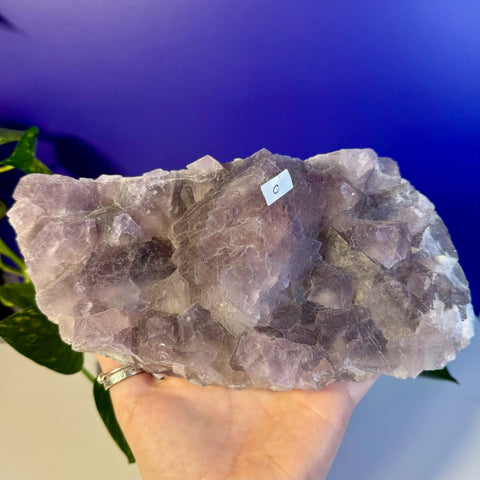 Frozen Grape Fluorite Specimen C 3 - Kenna's Crystals from TikTok