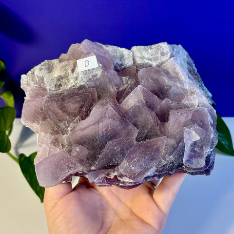 Frozen Grape Fluorite Specimen D 4 - Kenna's Crystals from TikTok