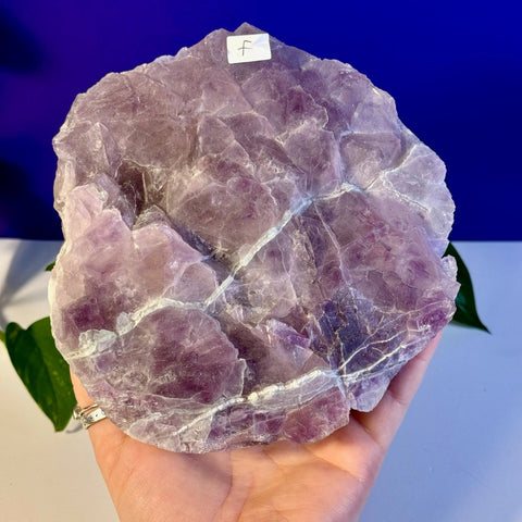 Frozen Grape Fluorite Specimen F 6 - Kenna's Crystals from TikTok