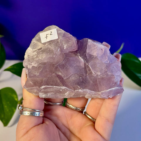 Frozen Grape Fluorite Specimen F2 32 - Kenna's Crystals from TikTok
