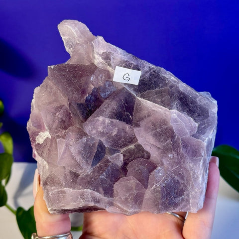 Frozen Grape Fluorite Specimen G 7 - Kenna's Crystals from TikTok