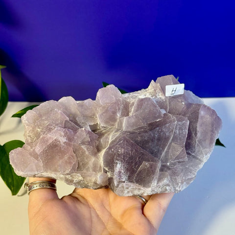 Frozen Grape Fluorite Specimen H 8 - Kenna's Crystals from TikTok