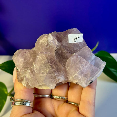 Frozen Grape Fluorite Specimen H2 34 - Kenna's Crystals from TikTok