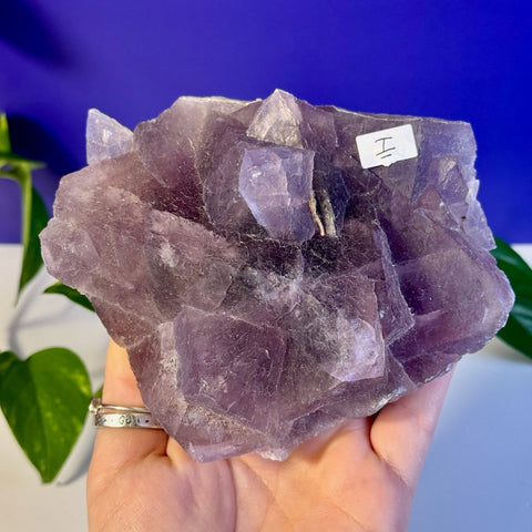 Frozen Grape Fluorite Specimen I 9 - Kenna's Crystals from TikTok