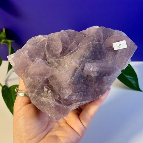 Frozen Grape Fluorite Specimen J 10 - Kenna's Crystals from TikTok