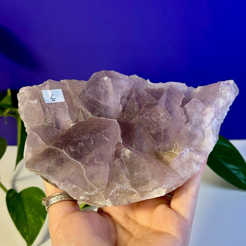 Frozen Grape Fluorite Specimen L 12 - Kenna's Crystals from TikTok