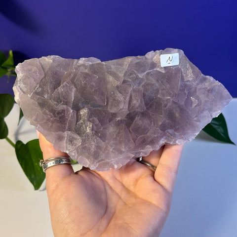 Frozen Grape Fluorite Specimen N 14 - Kenna's Crystals from TikTok
