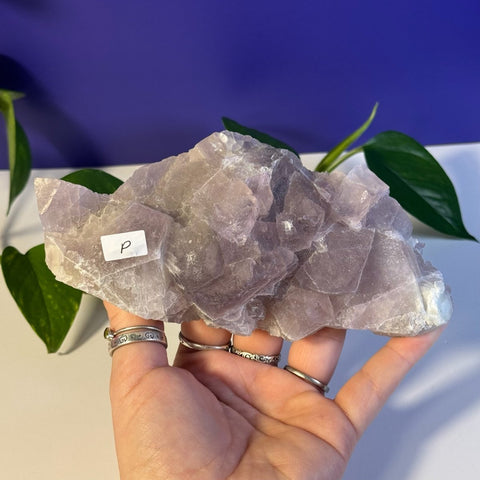 Frozen Grape Fluorite Specimen P 16 - Kenna's Crystals from TikTok