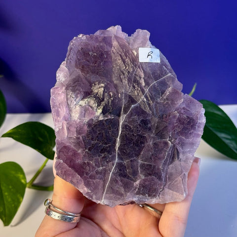 Frozen Grape Fluorite Specimen R 18 - Kenna's Crystals from TikTok
