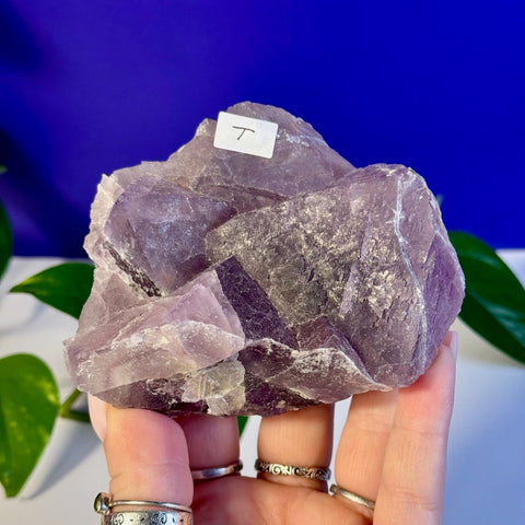 Frozen Grape Fluorite Specimen T 20 - Kenna's Crystals from TikTok