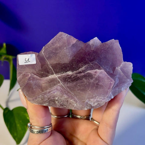 Frozen Grape Fluorite Specimen U 21 - Kenna's Crystals from TikTok