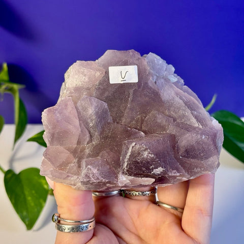 Frozen Grape Fluorite Specimen V 22 - Kenna's Crystals from TikTok