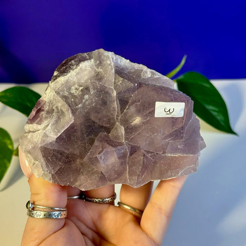 Frozen Grape Fluorite Specimen W 23 - Kenna's Crystals from TikTok