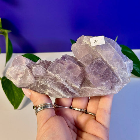 Frozen Grape Fluorite Specimen X 24 - Kenna's Crystals from TikTok