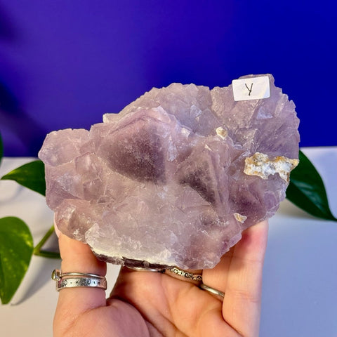 Frozen Grape Fluorite Specimen Y 25 - Kenna's Crystals from TikTok