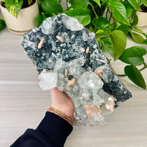 Galaxy Apophyllite A 1 - Kenna's Crystals from TikTok