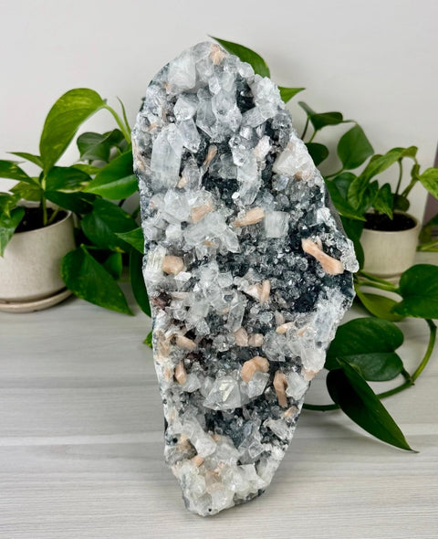 Galaxy Apophyllite B 2 - Kenna's Crystals from TikTok