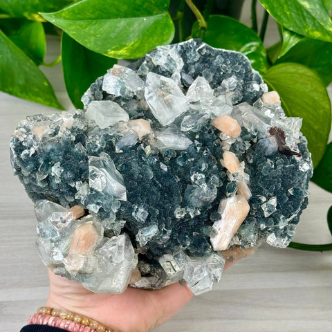 Galaxy Apophyllite D 4 - Kenna's Crystals from TikTok