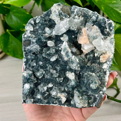 Galaxy Apophyllite F 6 - Kenna's Crystals from TikTok