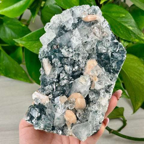 Galaxy Apophyllite G 7 - Kenna's Crystals from TikTok