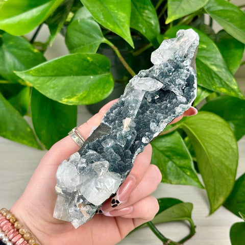 Galaxy Apophyllite H 8 - Kenna's Crystals from TikTok