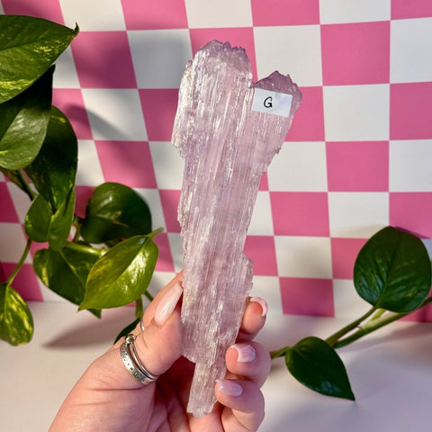 Glossy Pink Kunzite G 7 - Kenna's Crystals from TikTok