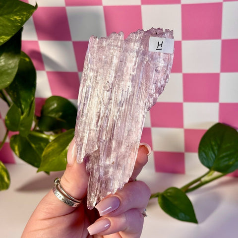 Glossy Pink Kunzite H 8 - Kenna's Crystals from TikTok