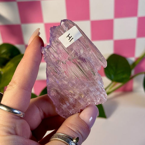 Glossy Pink Kunzite I 9 - Kenna's Crystals from TikTok